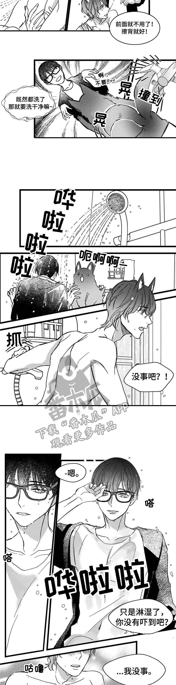 第5章：洗一洗6