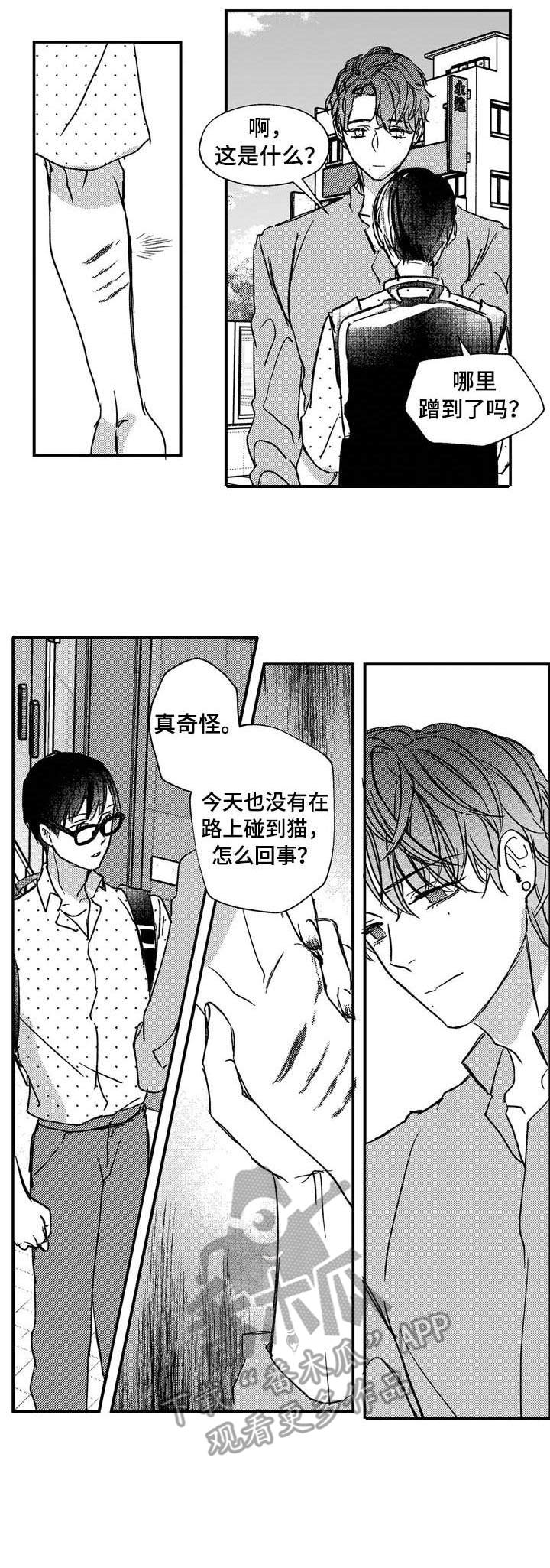 第14章：约会5
