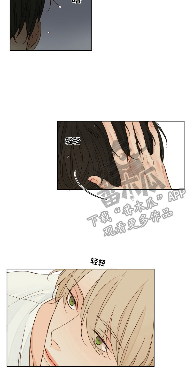 第5章：胡思乱想12