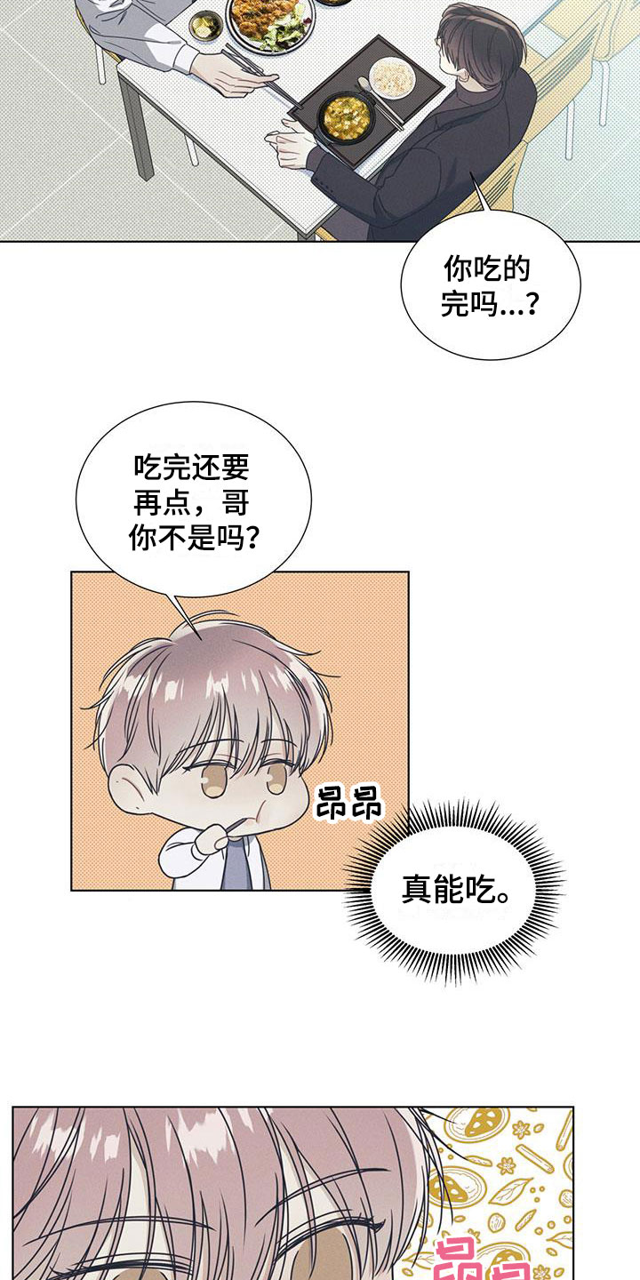 第3章：无法抗拒的脸11
