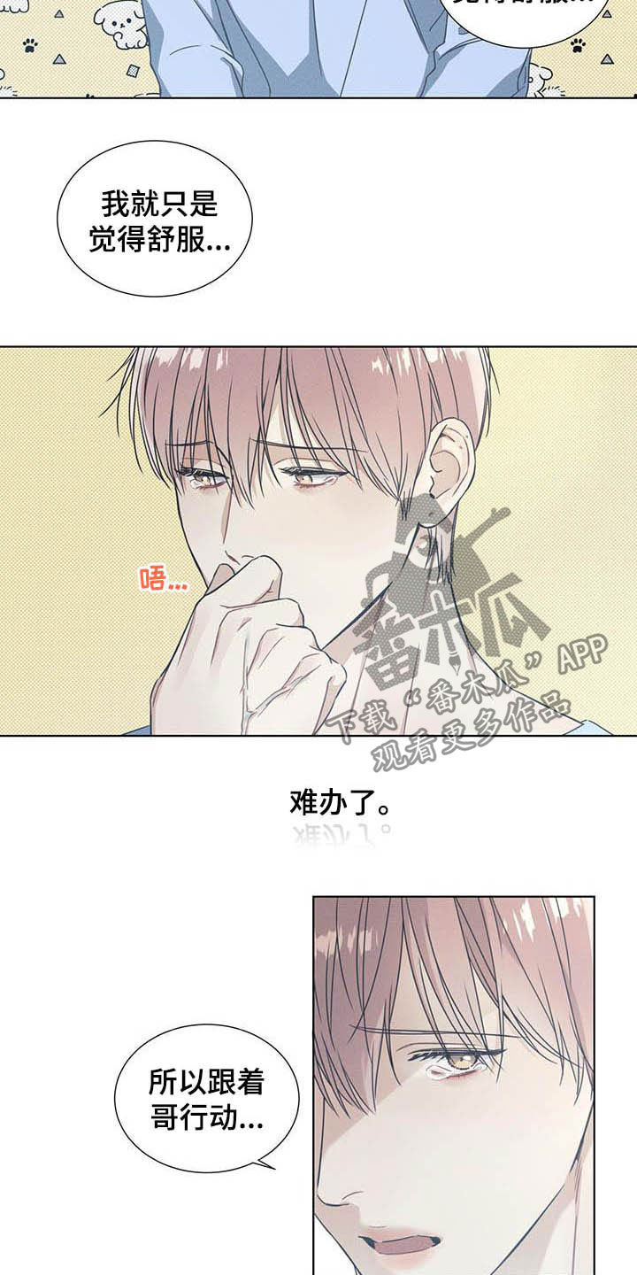 第16章：我会负责的1