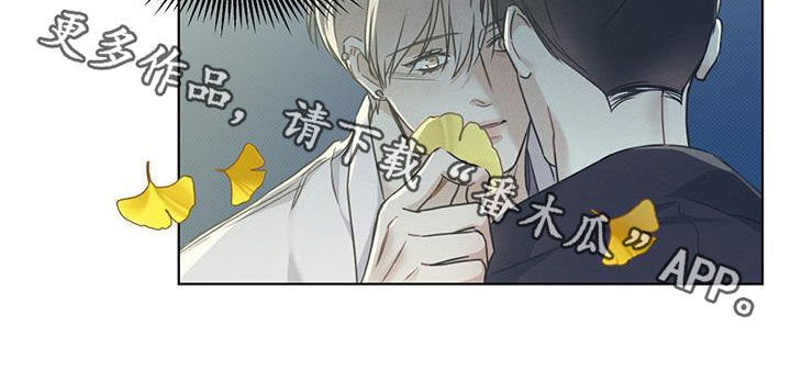 第48章：向枫叶许愿19