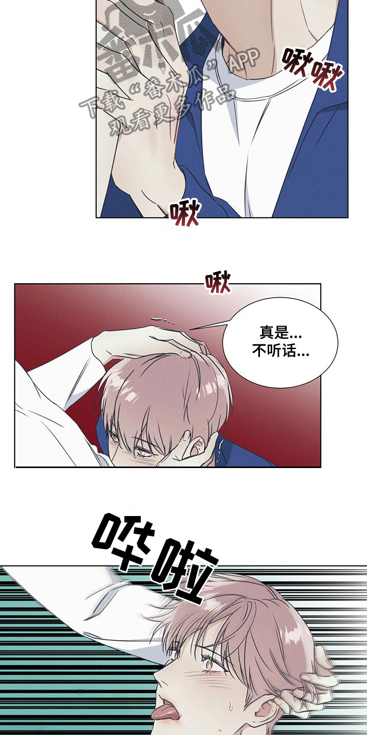 第52章：很好看20