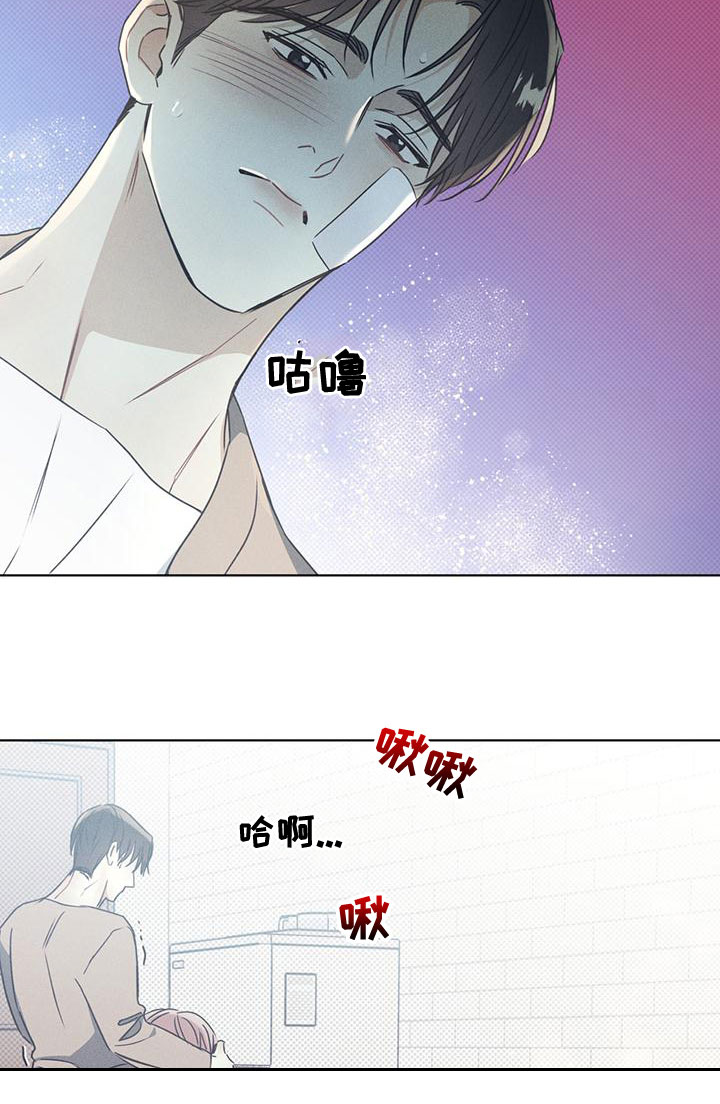第52章：很好看17