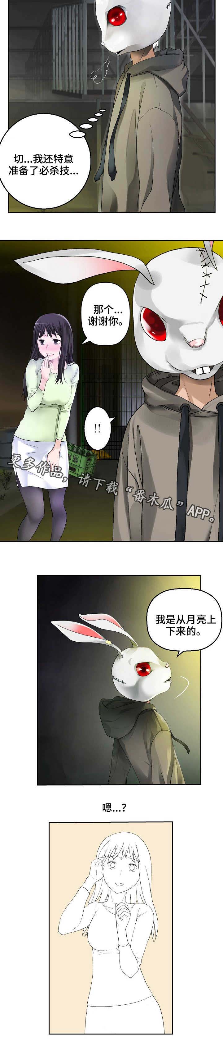 第29章：兔子10