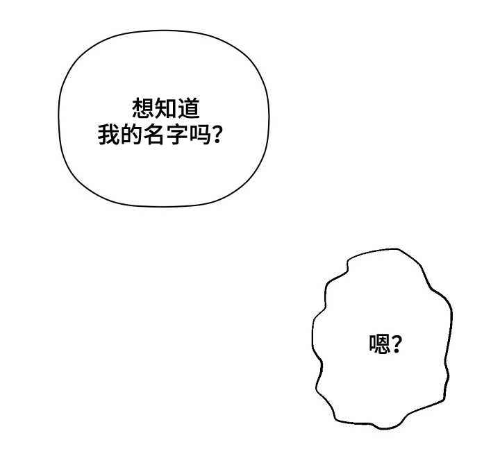 第29章：兔子11