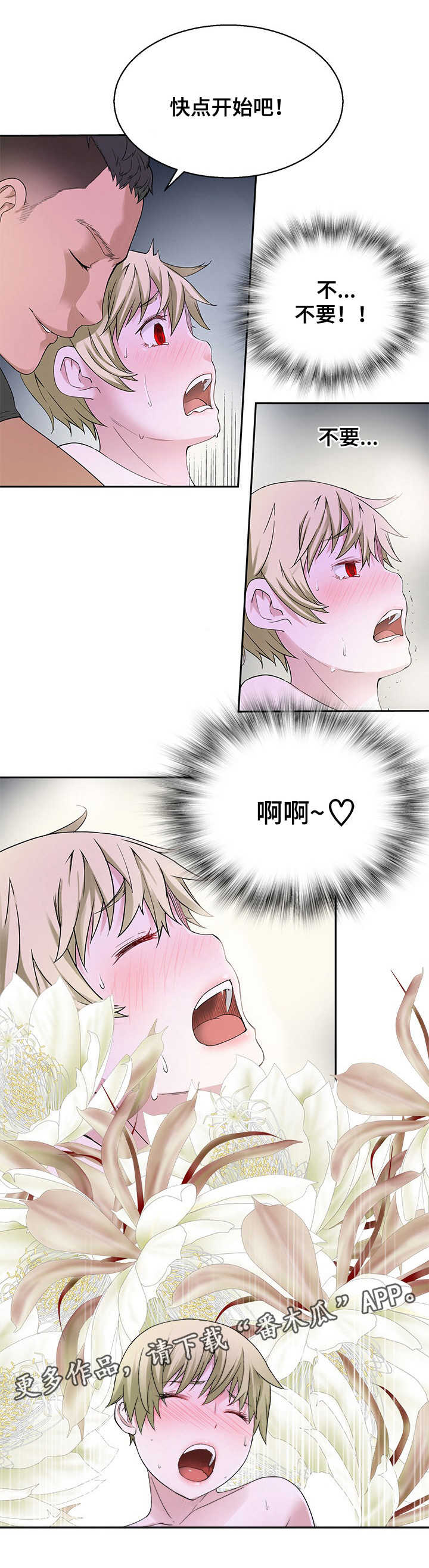 第32章：禁止条例7
