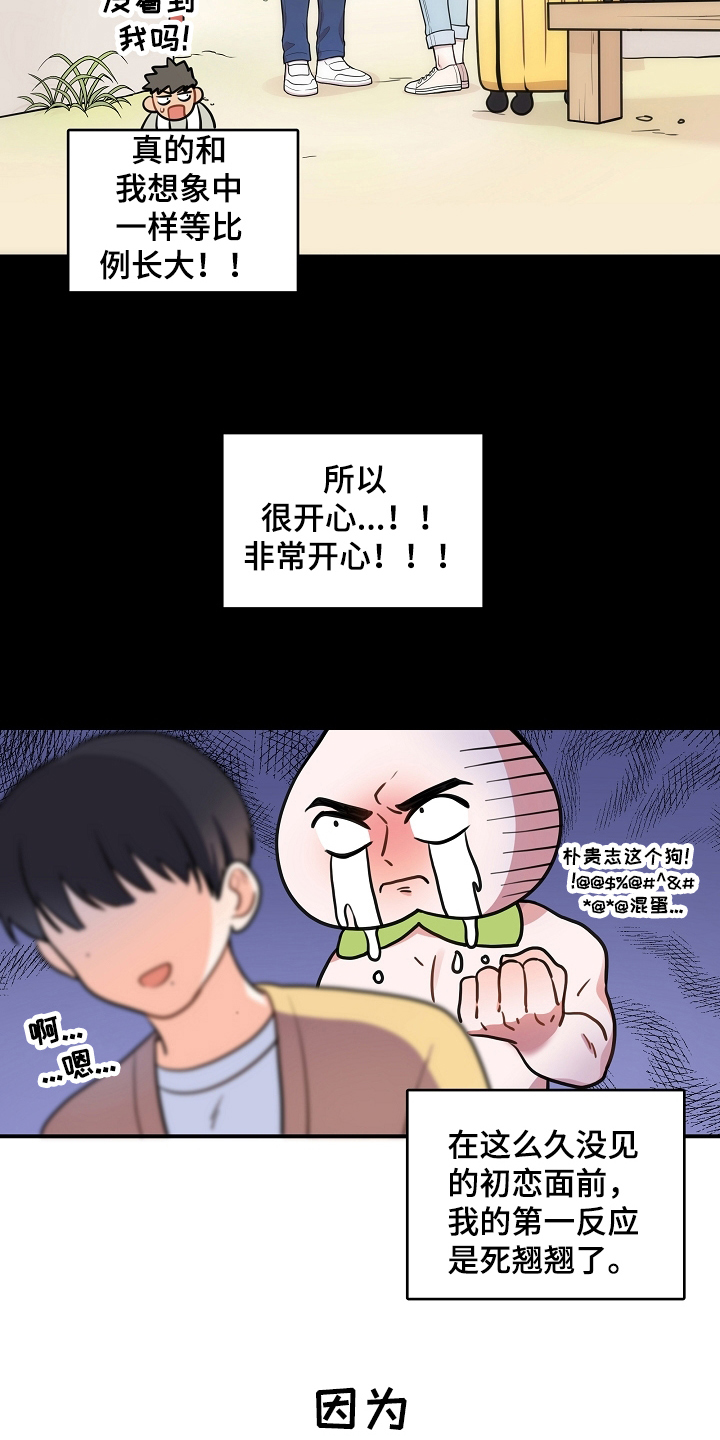 第2章：初恋13