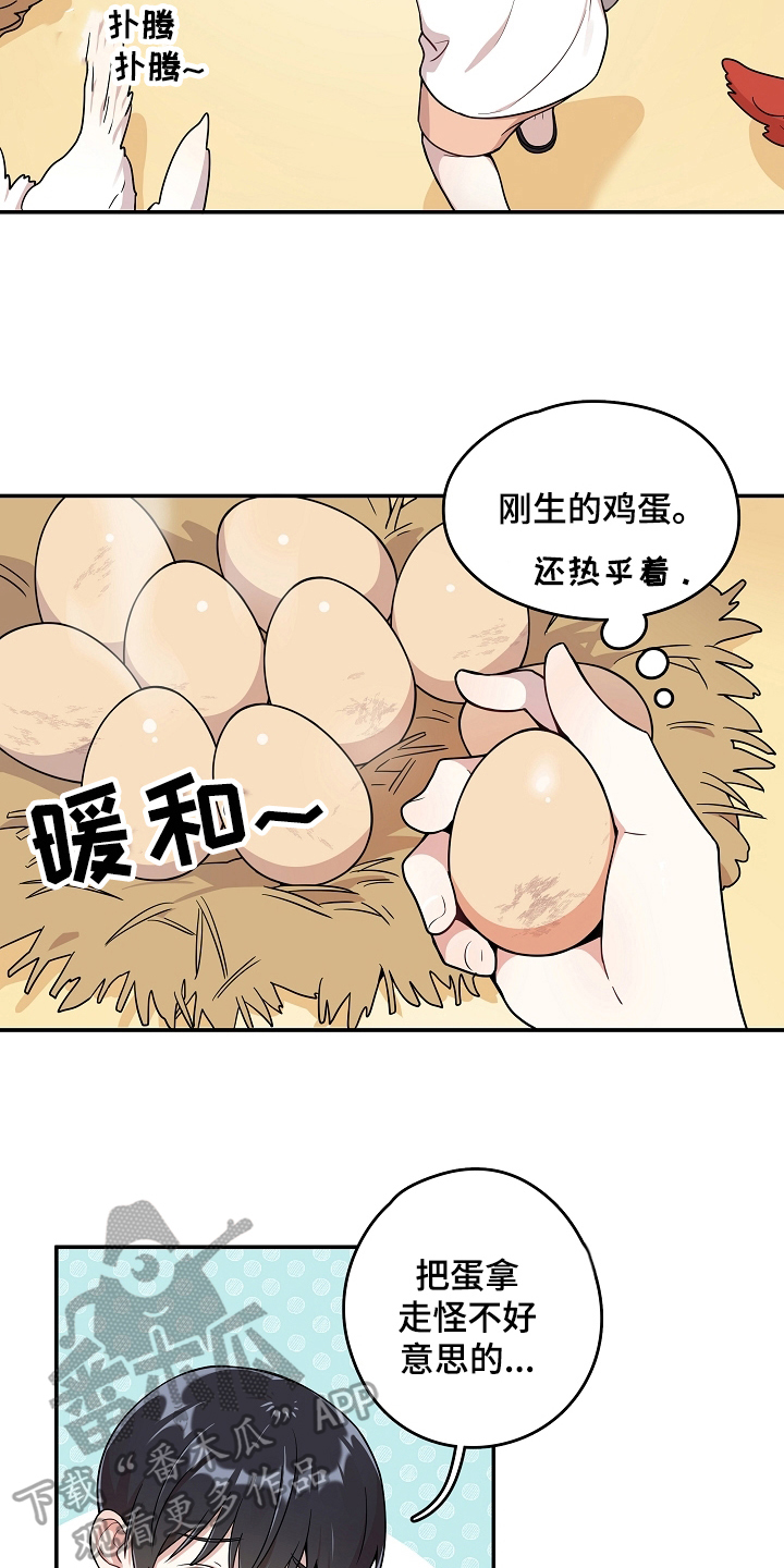 第7章：掏鸡蛋8