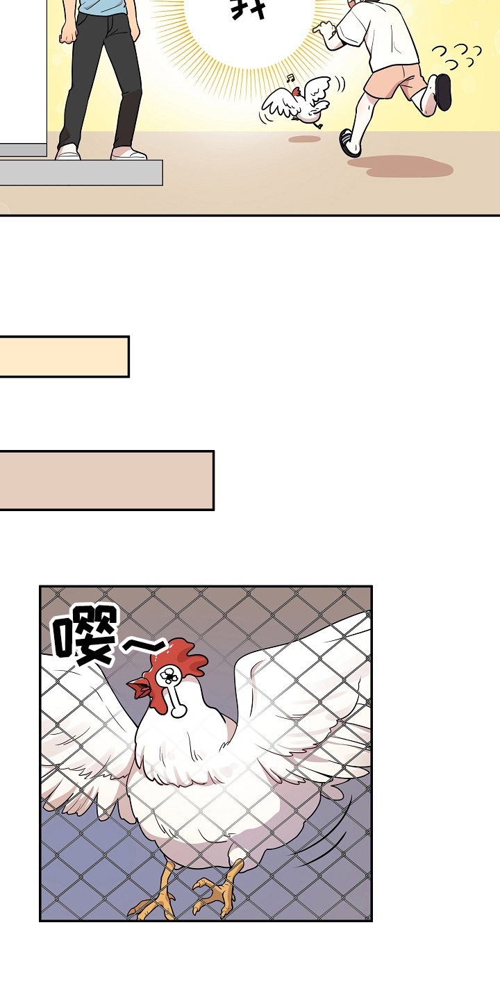 第8章：帮忙3