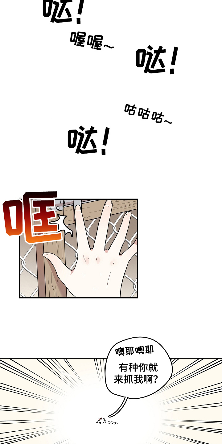 第7章：掏鸡蛋13