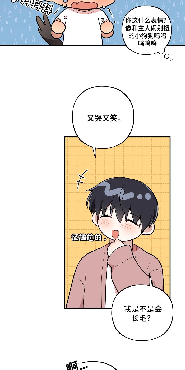 第37章：表白13