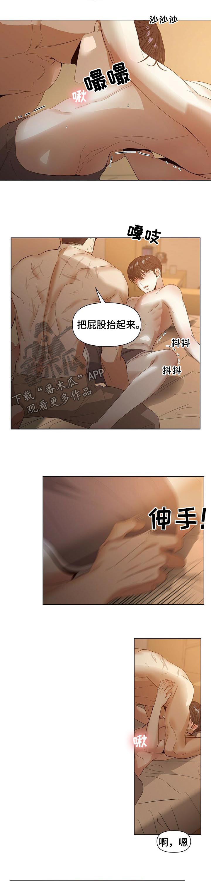 第44章：正式开始1