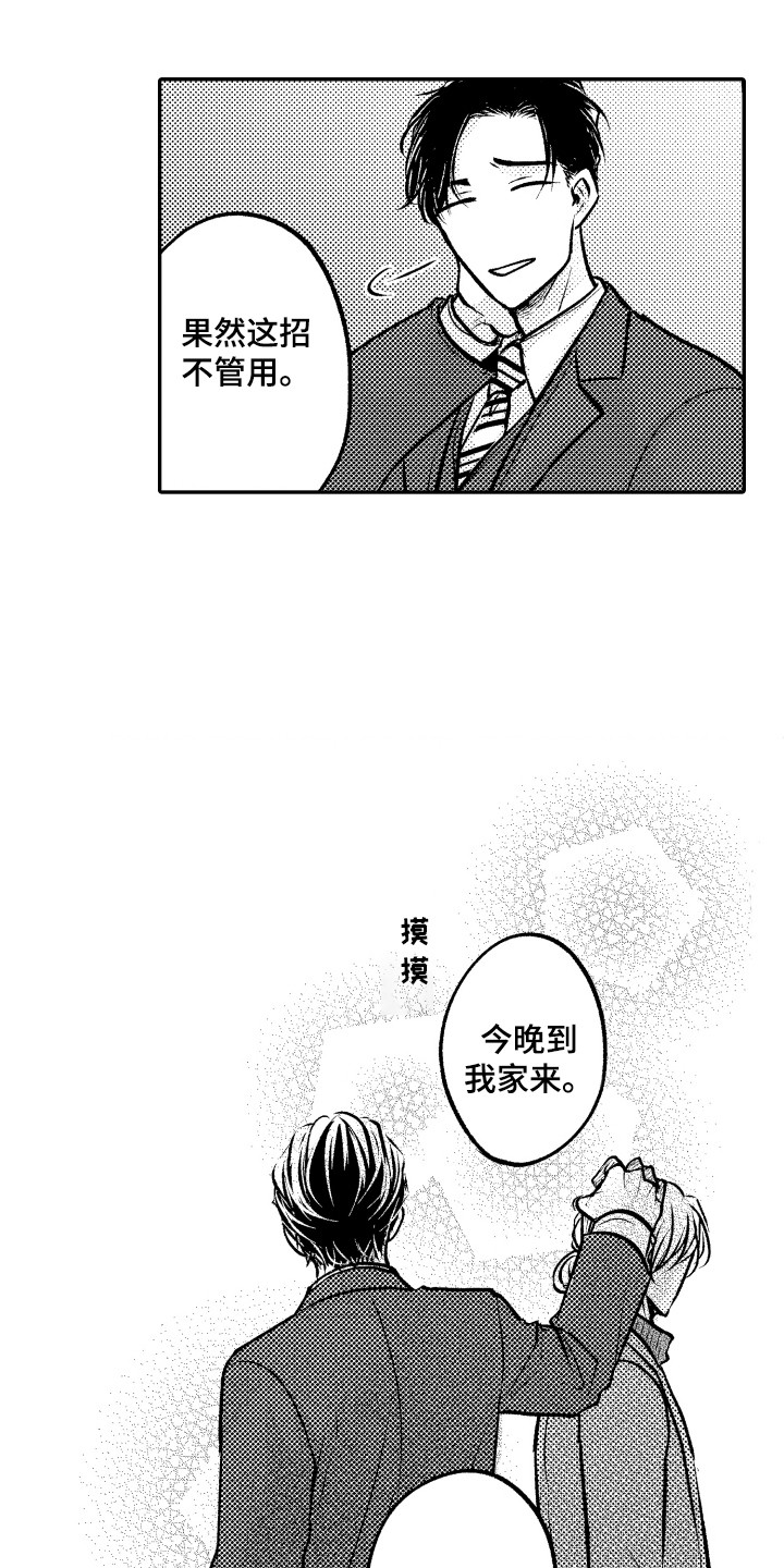 第15章：我来试试11