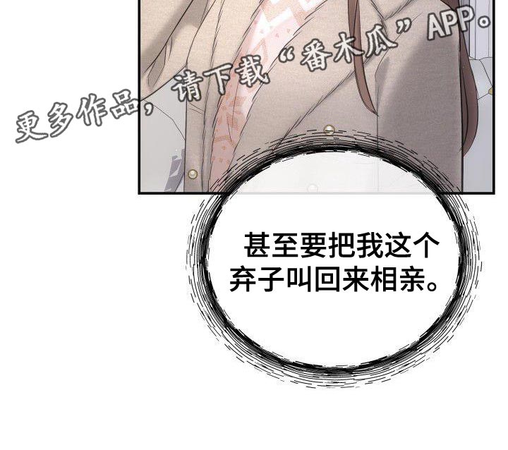 第38章：相亲34