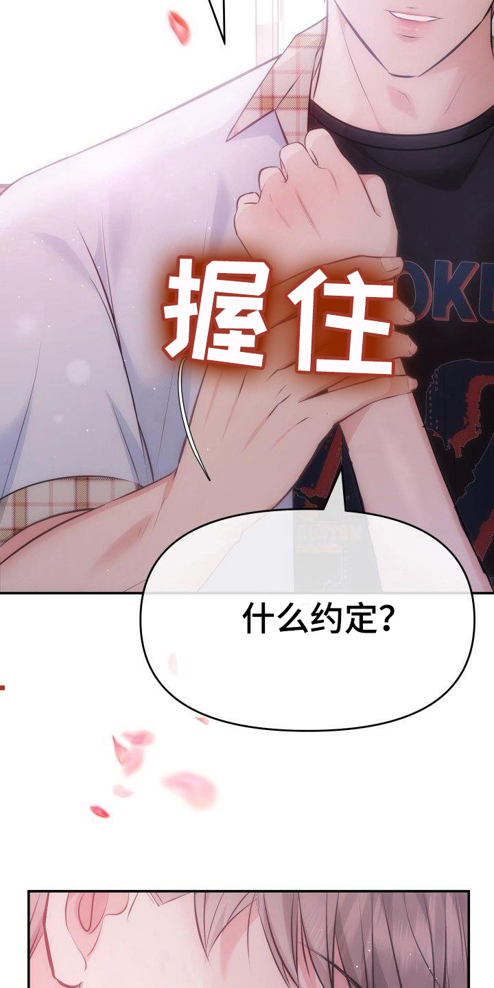 第13章：约定 15