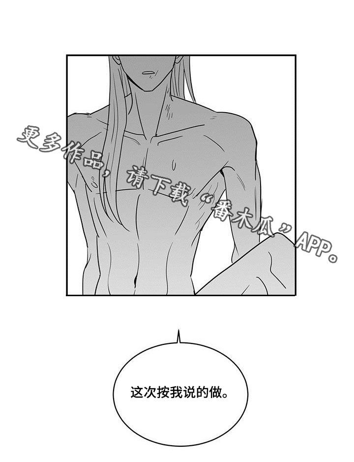 第53章：按我说的13