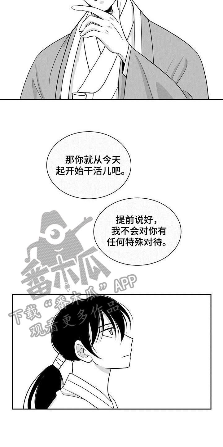 第6章：收留12