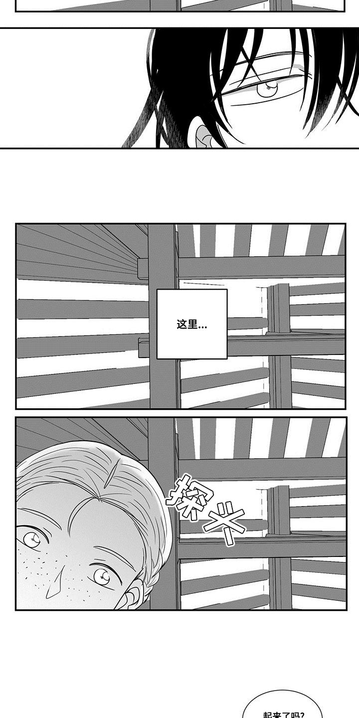 第85章：秘密6