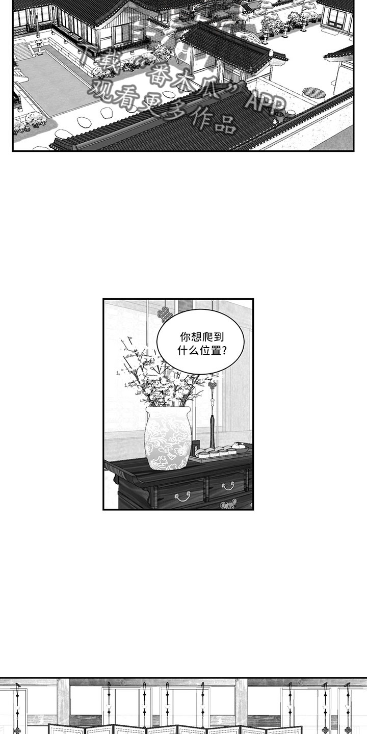 第73章：单纯梦想6