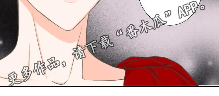第66章：结婚18