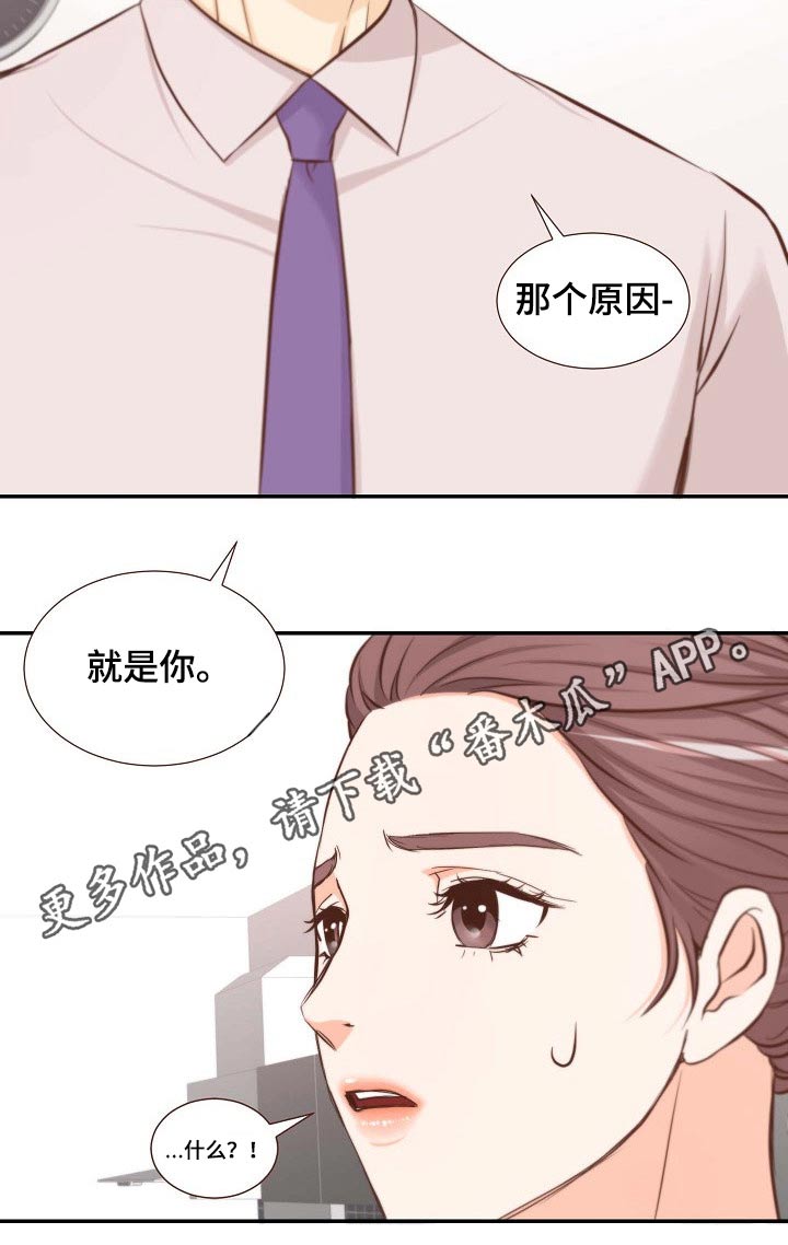 第74章：原因19