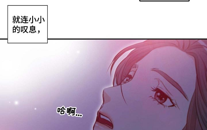 第76章：面对8