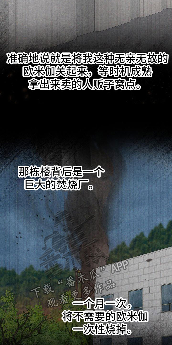 第5章：糟糕的想法10