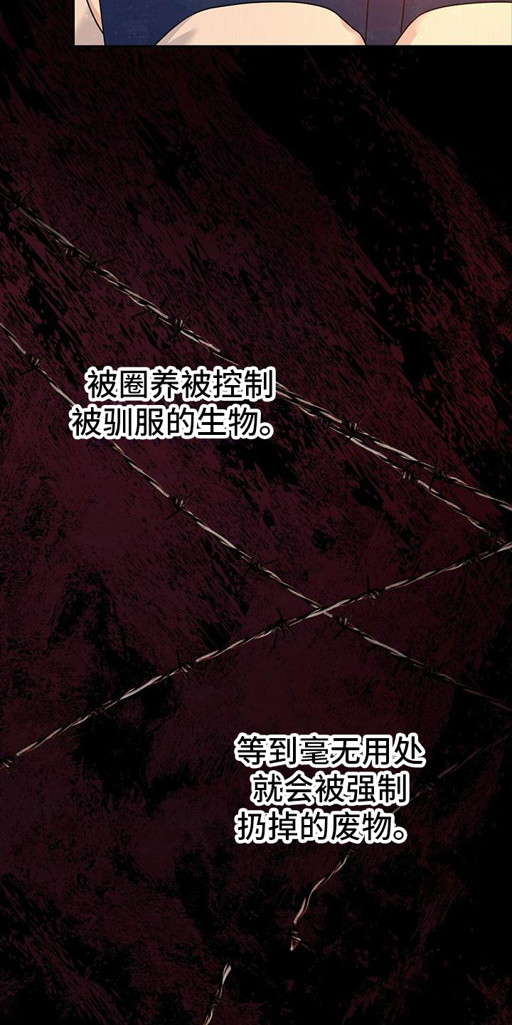 第1章：起点17
