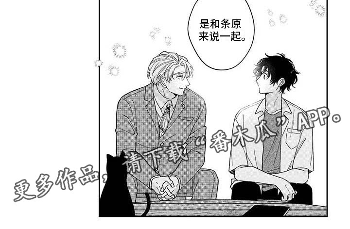 第8章：一起去猫咖10