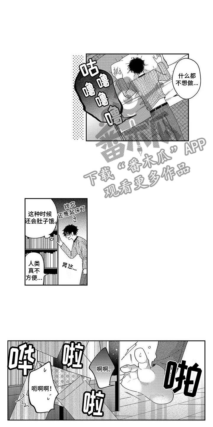 第19章：自哀自怨8