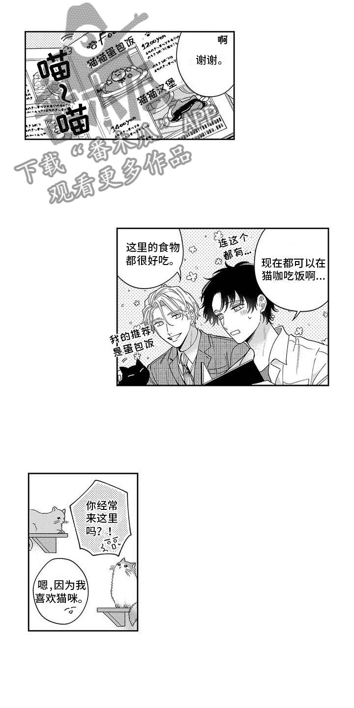 第8章：一起去猫咖6