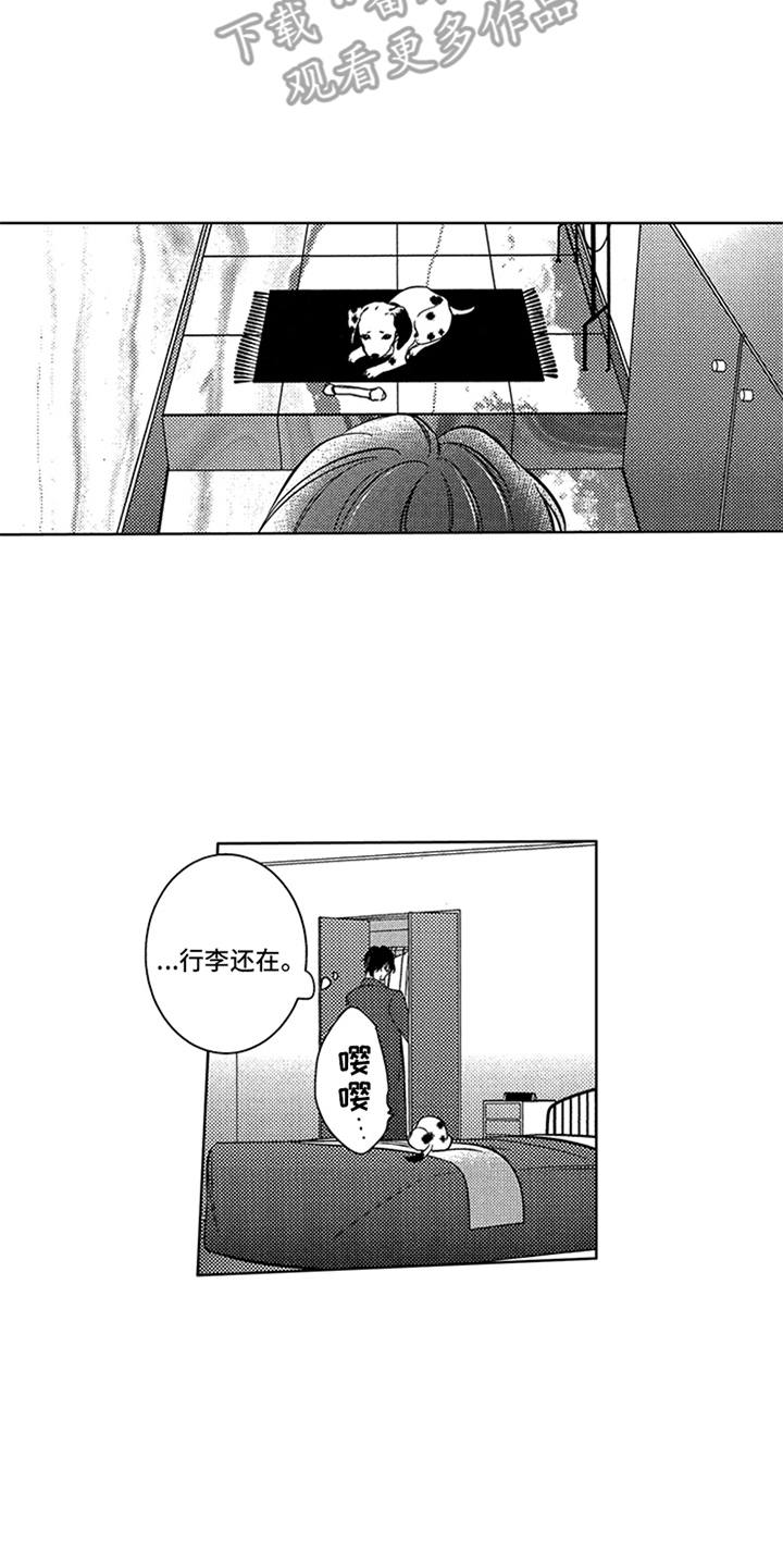 第17章：寻找4