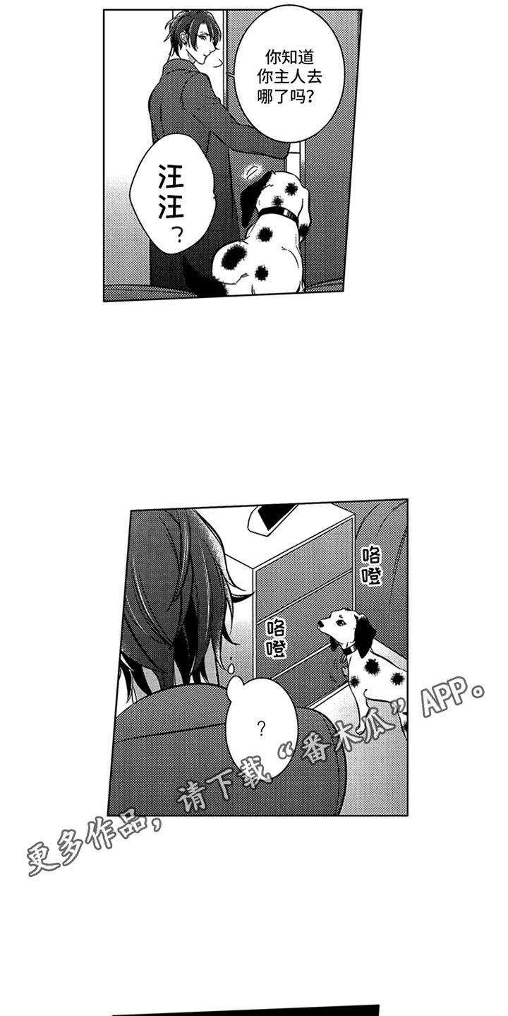 第17章：寻找5