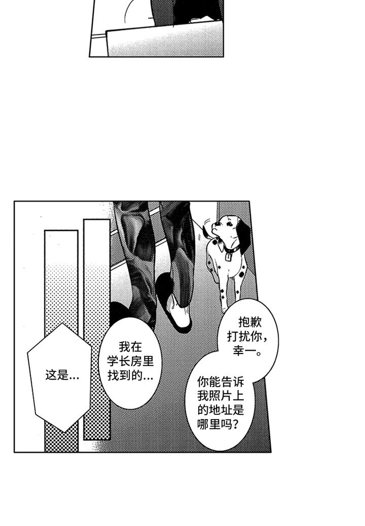 第17章：寻找8