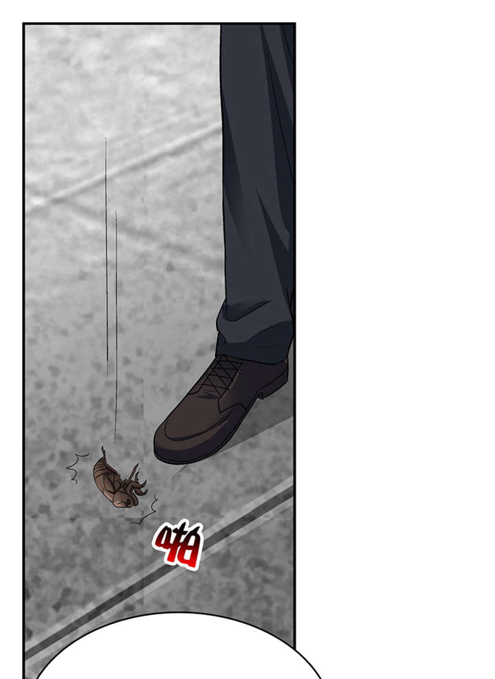 第16章： 美容针（柒）13