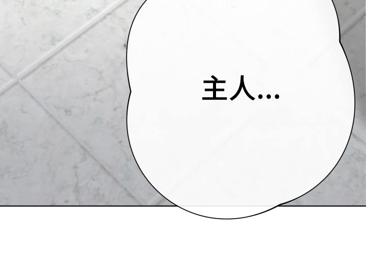 第37章：我错了21