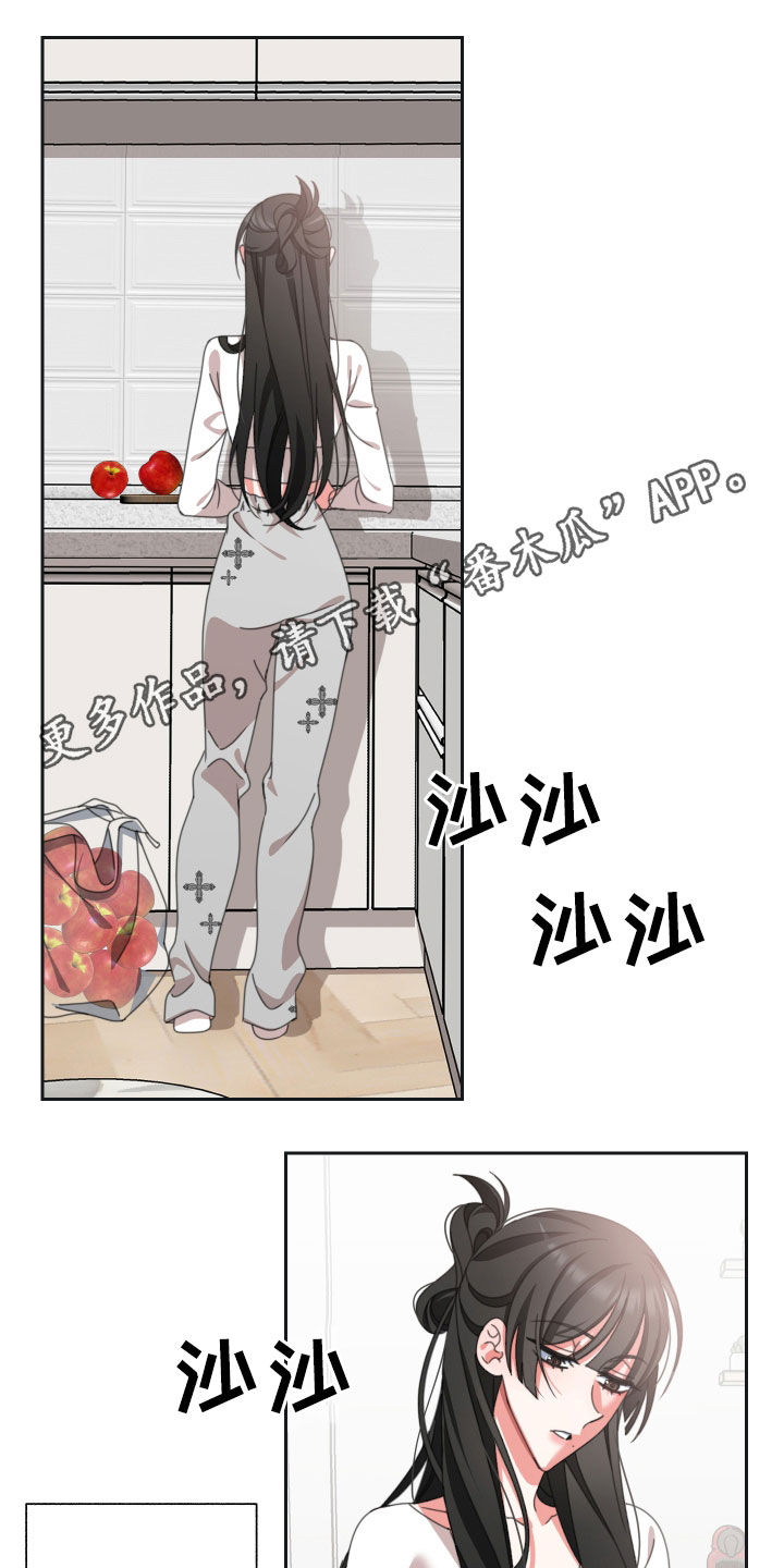 第18章：苹果0