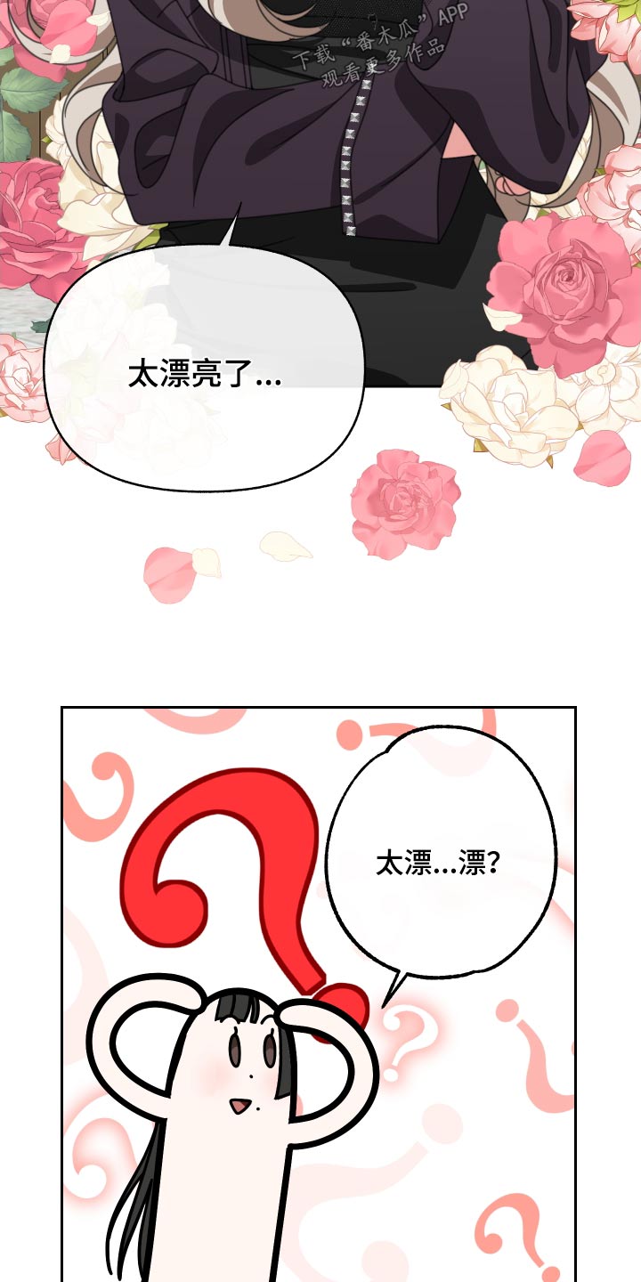 第28章：很漂亮19
