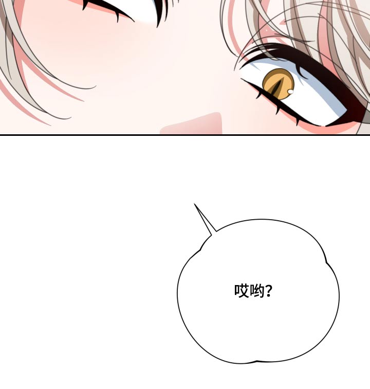 第27章：不合26