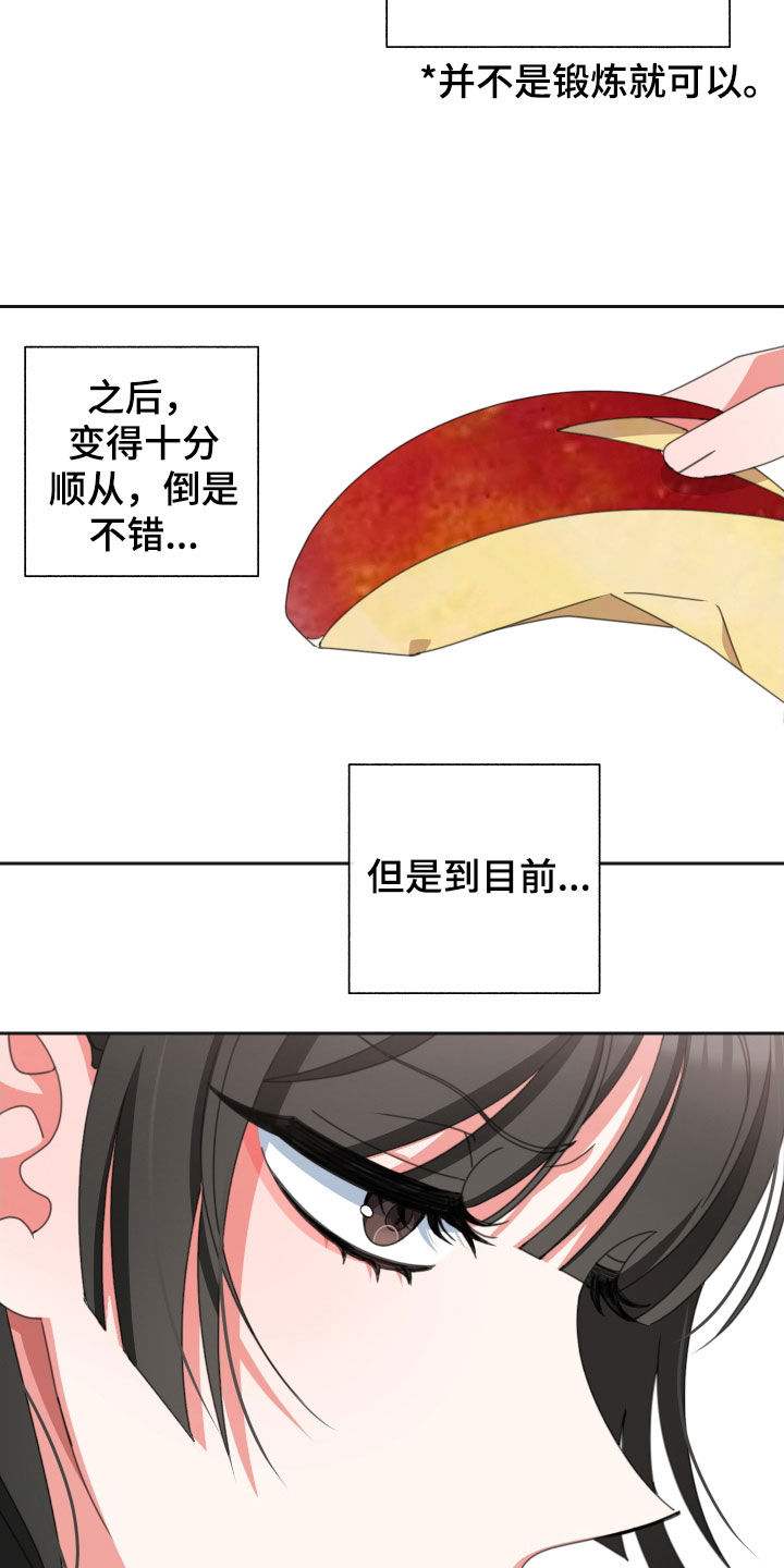 第18章：苹果3