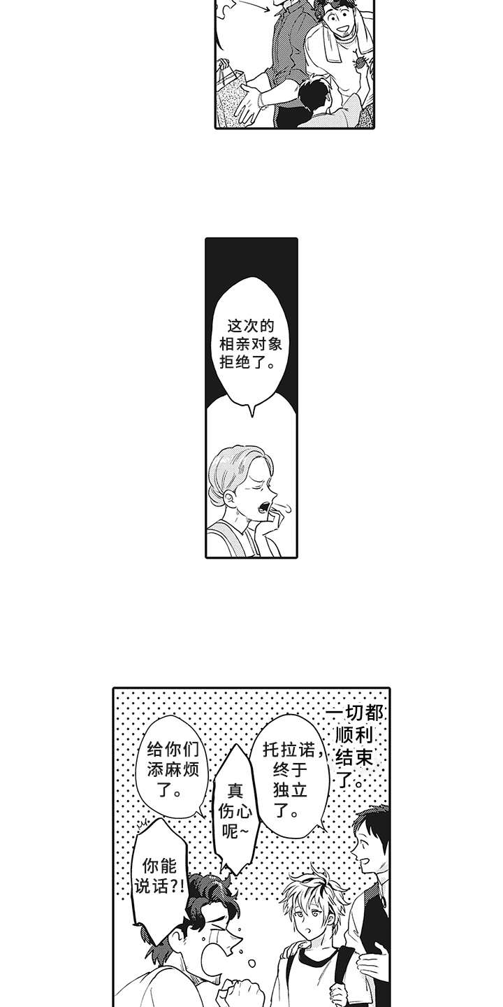 第21章： 想法3