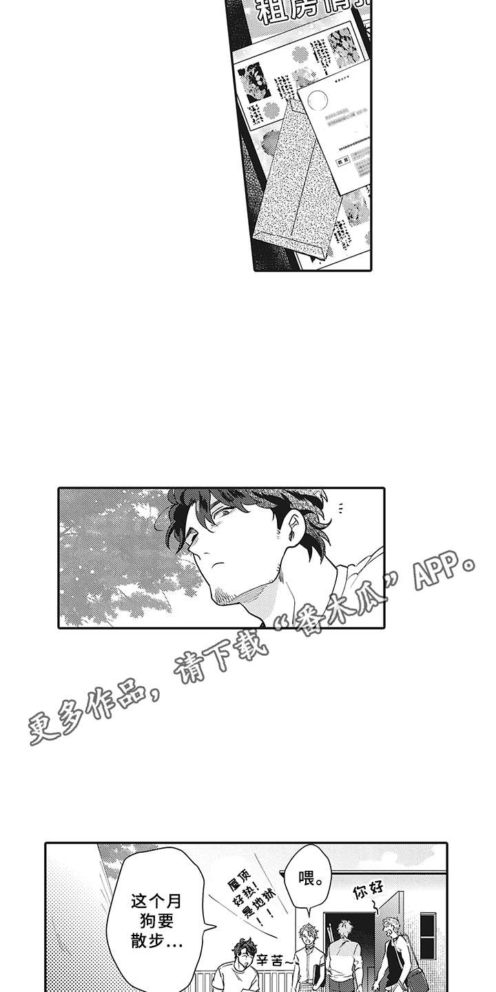 第13章：理由6