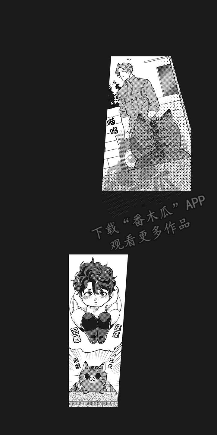 第16章：过去的影子9