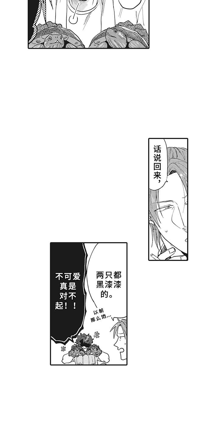 第21章： 想法8