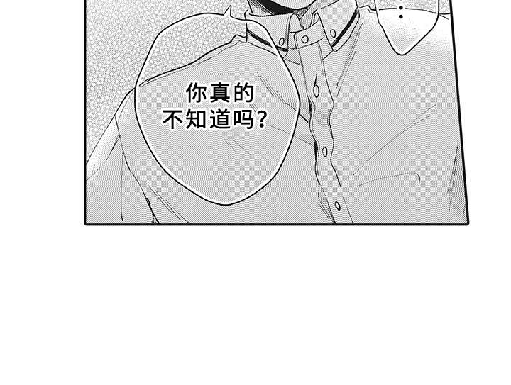 第13章：理由12