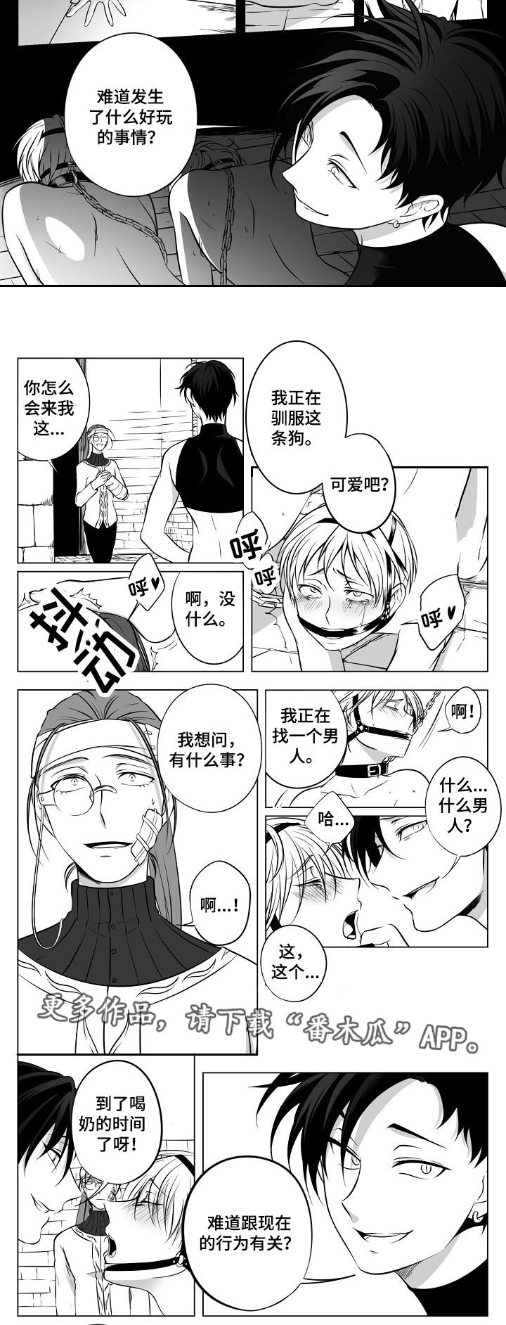 第19章：团团转7