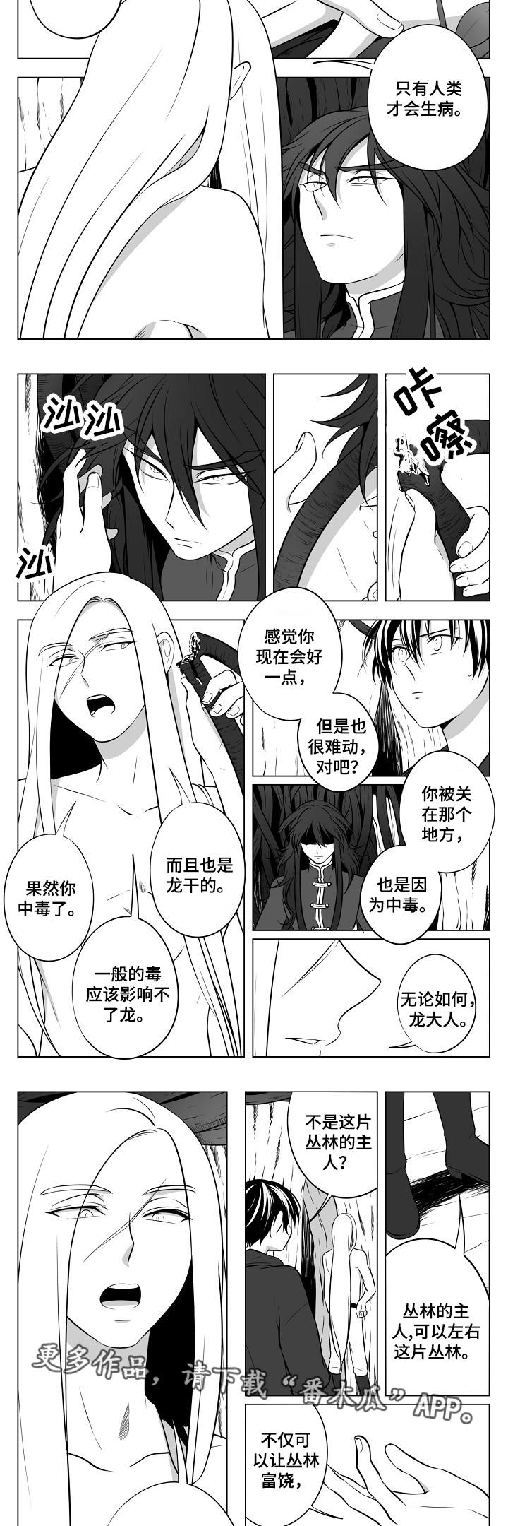第18章：丛林的主人7