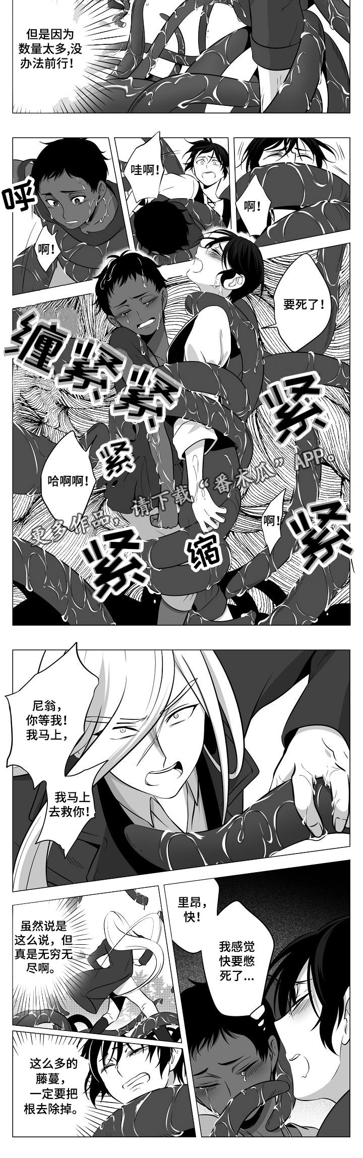 第8章：龙的声音6