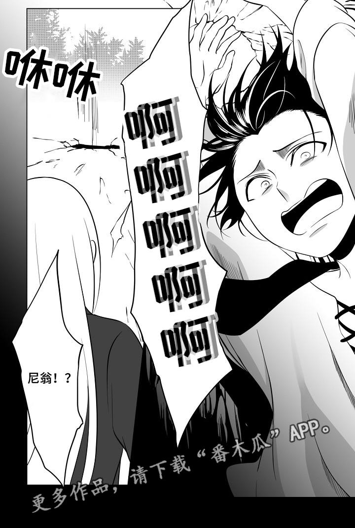 第12章：陷阱5